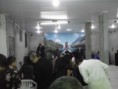 /album/galeria-de-fotos-pagina-inicial1/dsci0251-jpg/